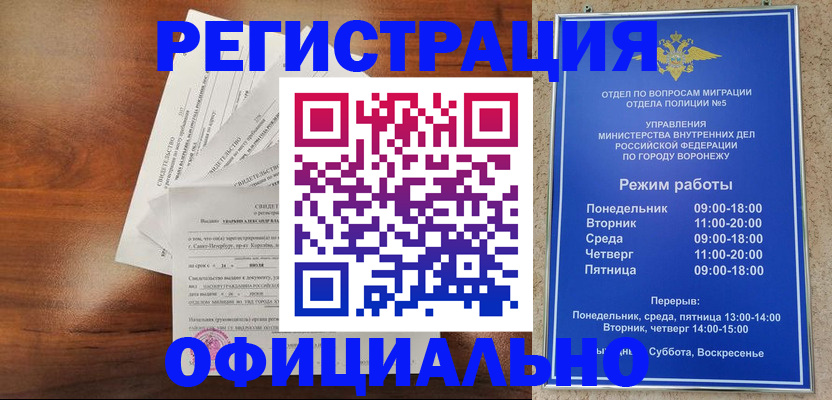 прописка поиск в Емве